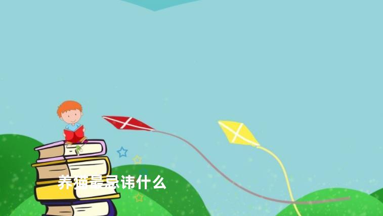 养猫最忌讳什么