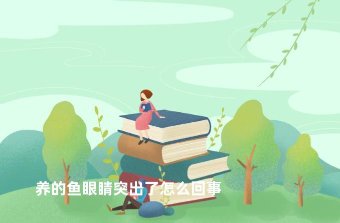 养的鱼眼睛突出了怎么回事