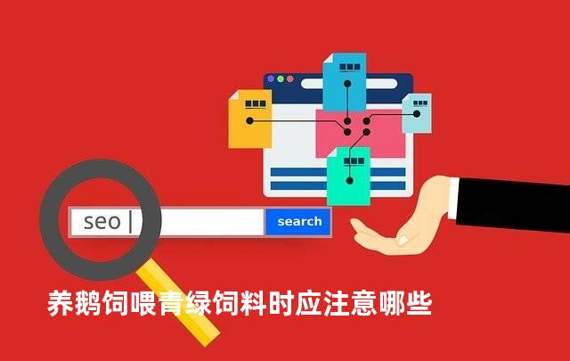 养鹅饲喂青绿饲料时应注意哪些