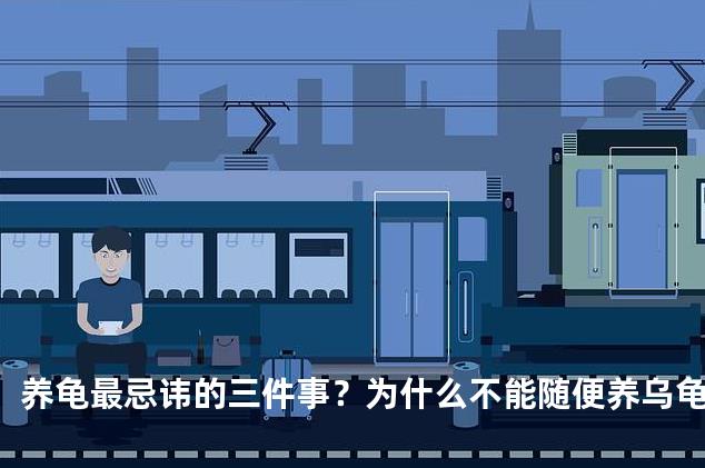 养龟最忌讳的三件事？为什么不能随便养乌龟