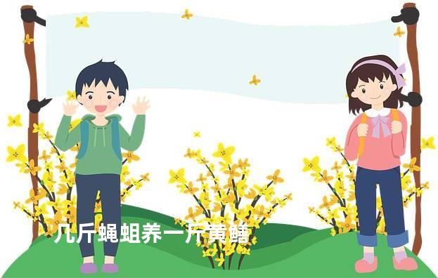 几斤蝇蛆养一斤黄鳝