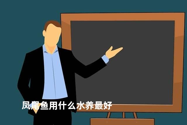 凤尾鱼用什么水养最好