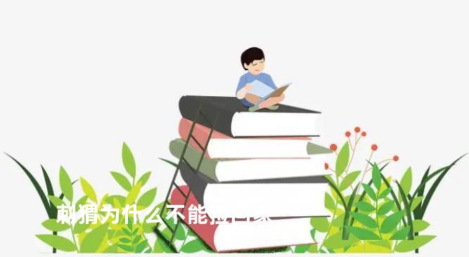 刺猬为什么不能捡回家