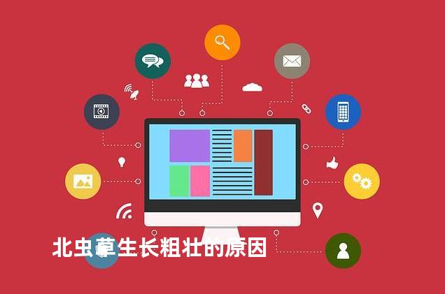 北虫草生长粗壮的原因