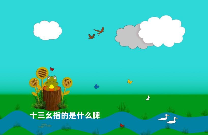 十三幺指的是什么牌