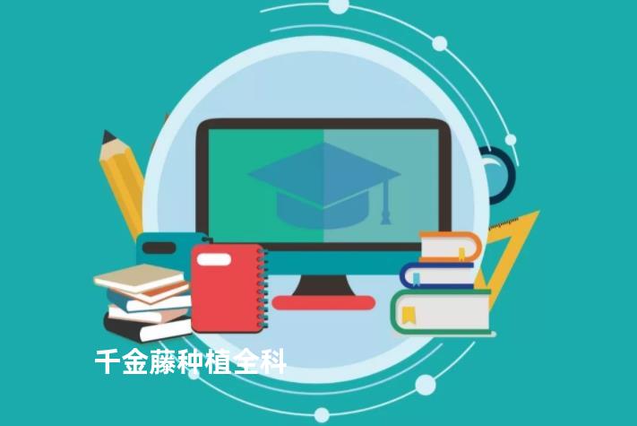 千金藤种植全科