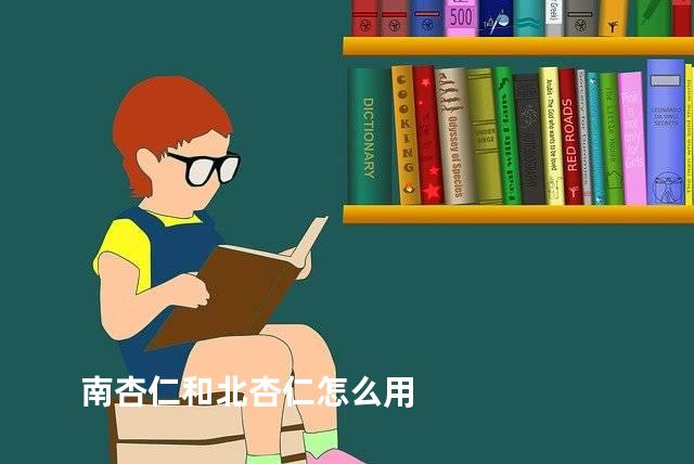南杏仁和北杏仁怎么用