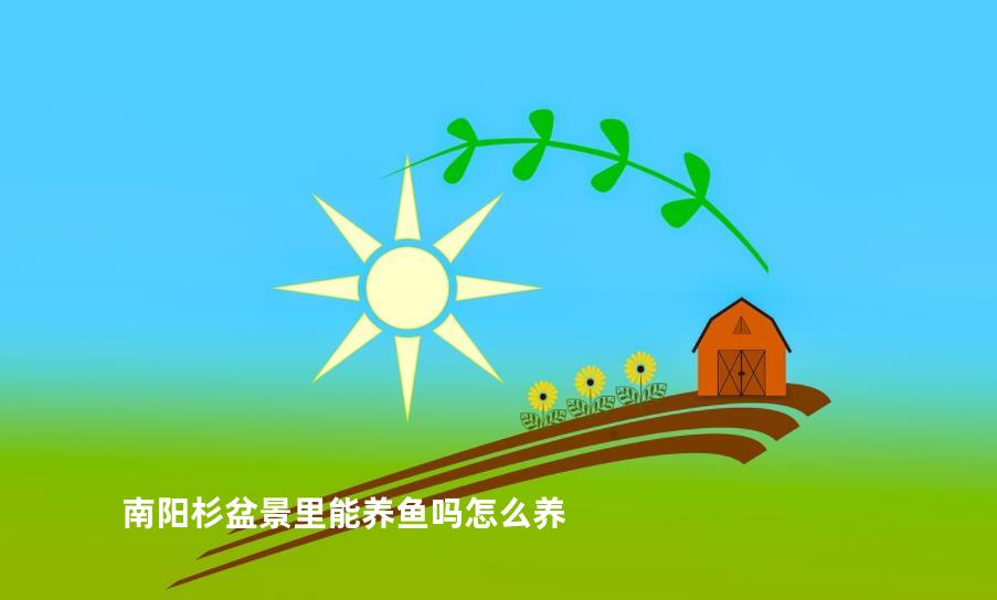 南阳杉盆景里能养鱼吗怎么养