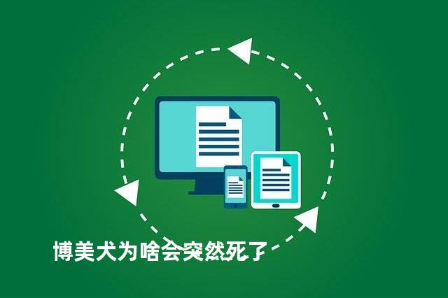 博美犬为啥会突然死了