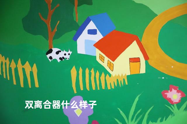 双离合器什么样子