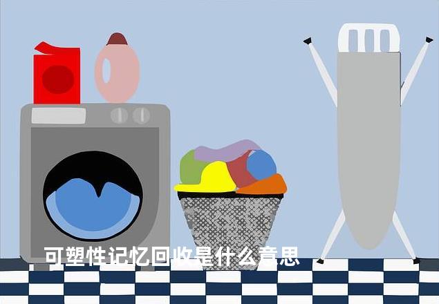 可塑性记忆回收是什么意思