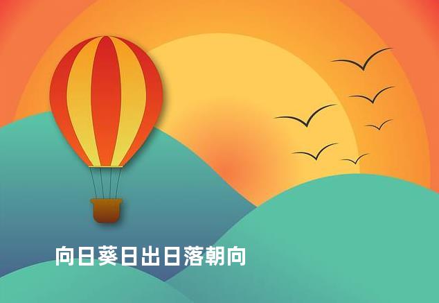 向日葵日出日落朝向