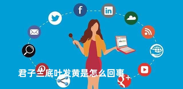 君子兰底叶发黄是怎么回事