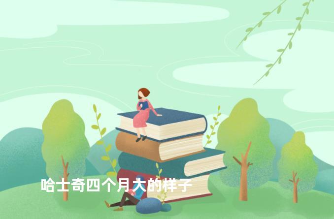 哈士奇四个月大的样子