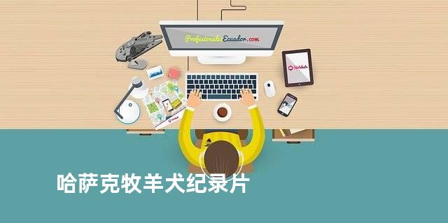 哈萨克牧羊犬纪录片