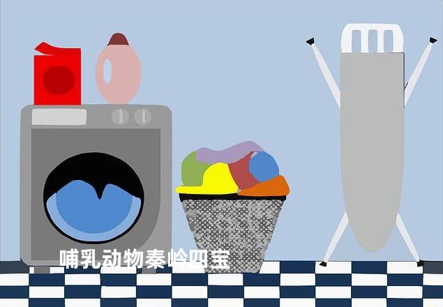 哺乳动物秦岭四宝