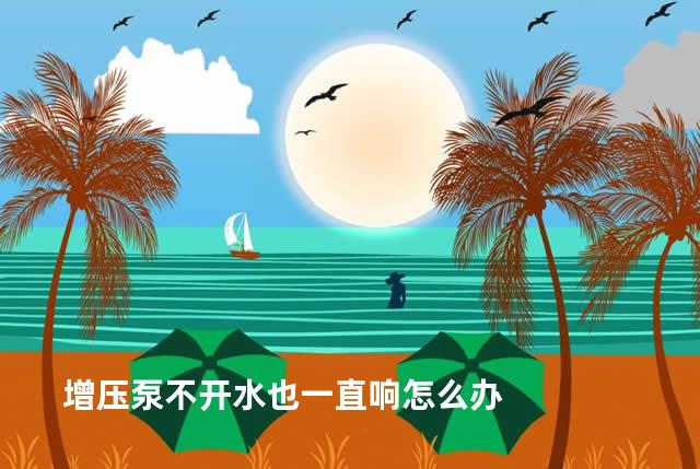 增压泵不开水也一直响怎么办