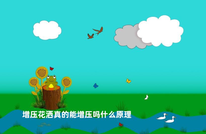 增压花洒真的能增压吗什么原理