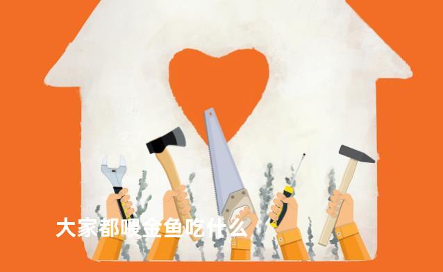 大家都喂金鱼吃什么