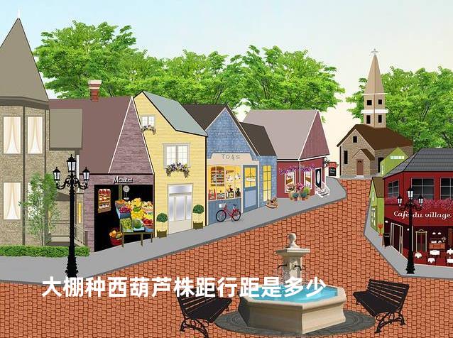 大棚种西葫芦株距行距是多少