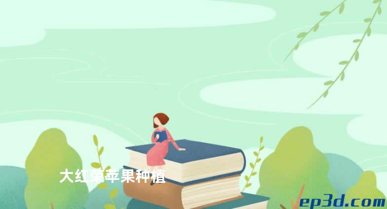 大红荣苹果种植