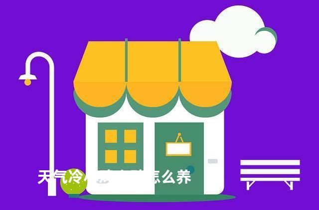 天气冷小鸡小鸭怎么养