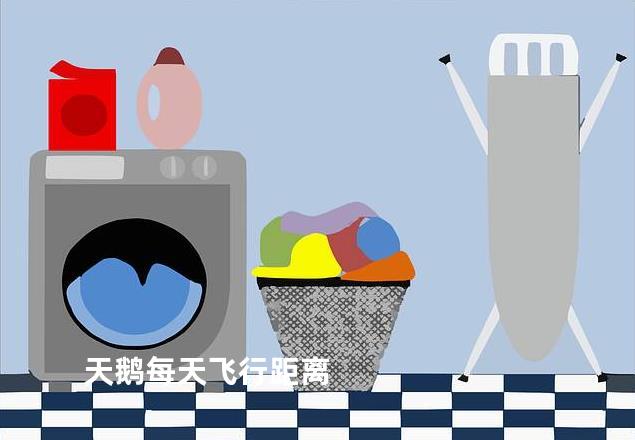 天鹅每天飞行距离