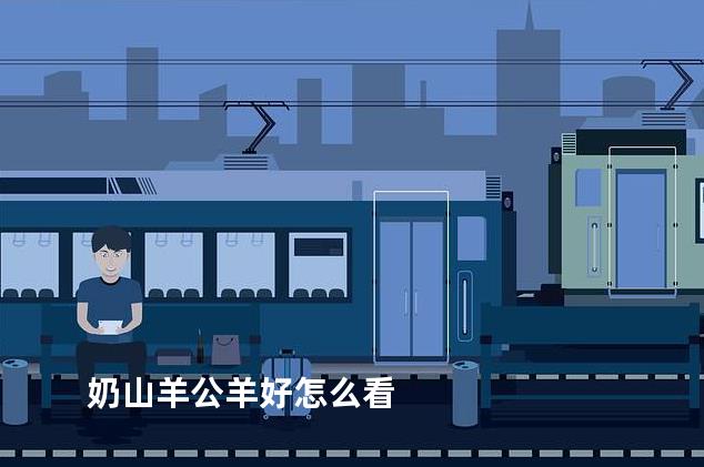 奶山羊公羊好怎么看