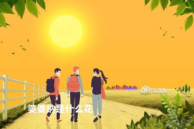 婆婆纳是什么花