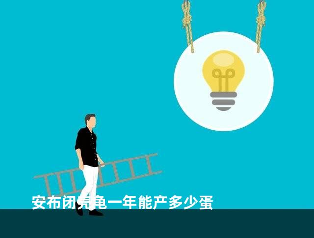 安布闭壳龟一年能产多少蛋