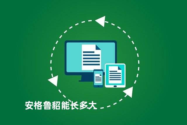 安格鲁貂能长多大