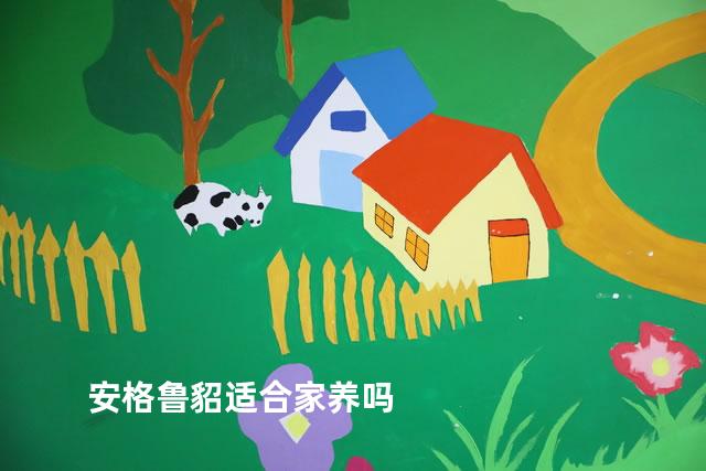 安格鲁貂适合家养吗