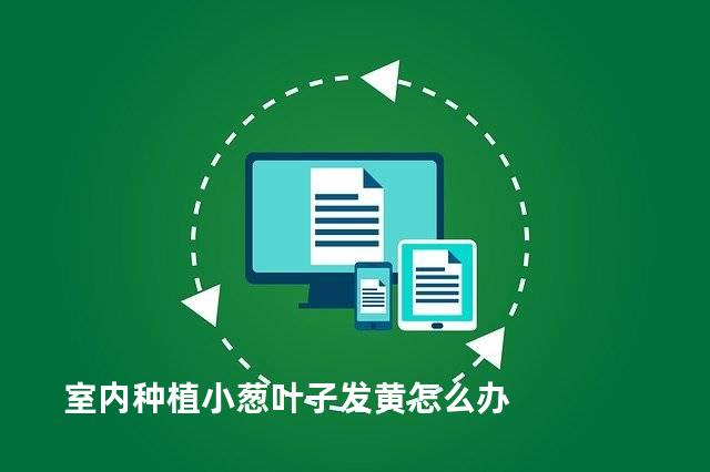 室内种植小葱叶子发黄怎么办