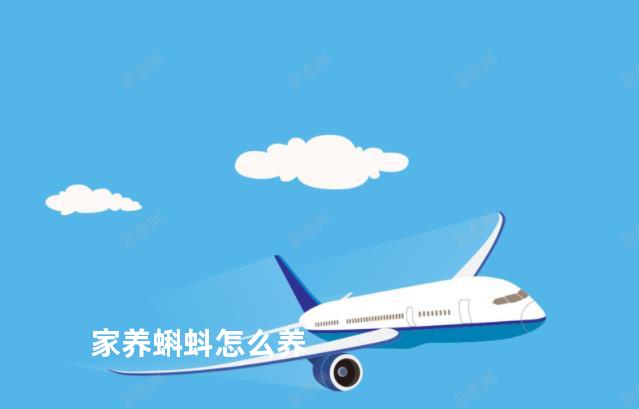 家养蝌蚪怎么养