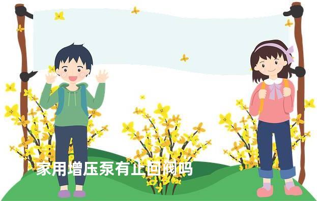 家用增压泵有止回阀吗