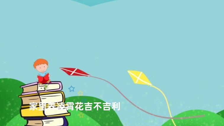 家里养凌霄花吉不吉利