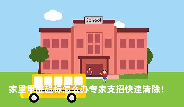 家里甲醛超标怎么办专家支招快速清除！