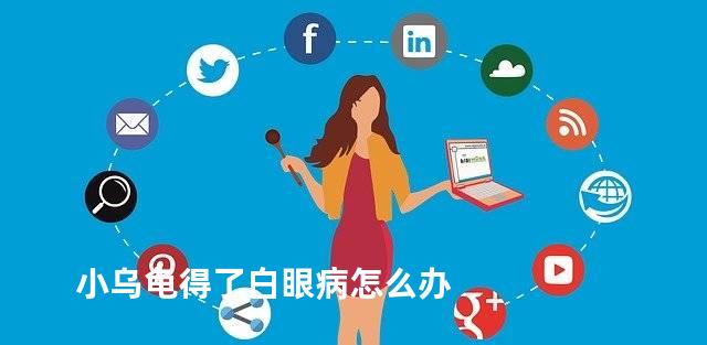 小乌龟得了白眼病怎么办