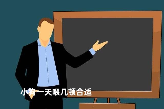 小狗一天喂几顿合适