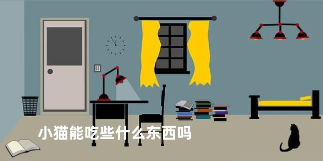 小猫能吃些什么东西吗