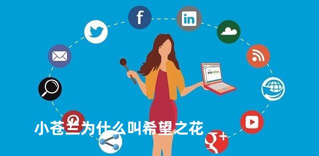 小苍兰为什么叫希望之花