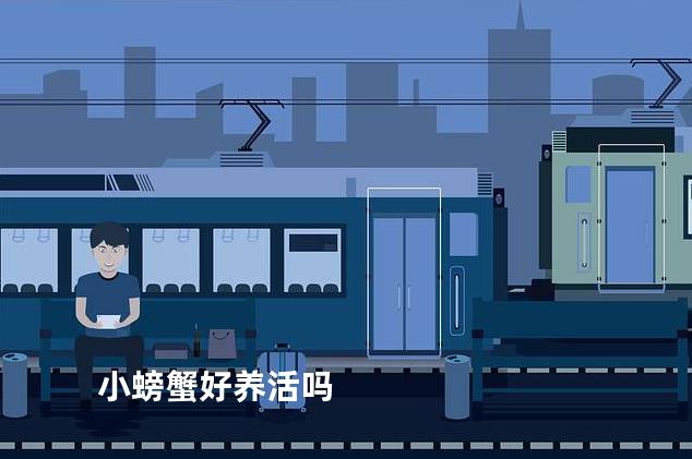 小螃蟹好养活吗