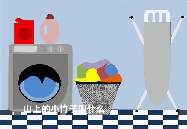 山上的小竹子叫什么