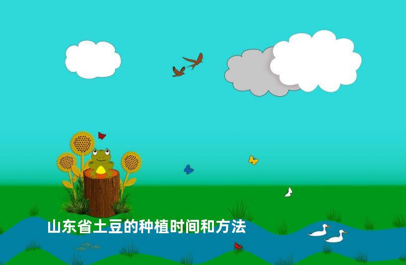 山东省土豆的种植时间和方法