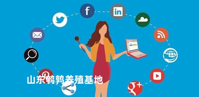 山东鹌鹑养殖基地