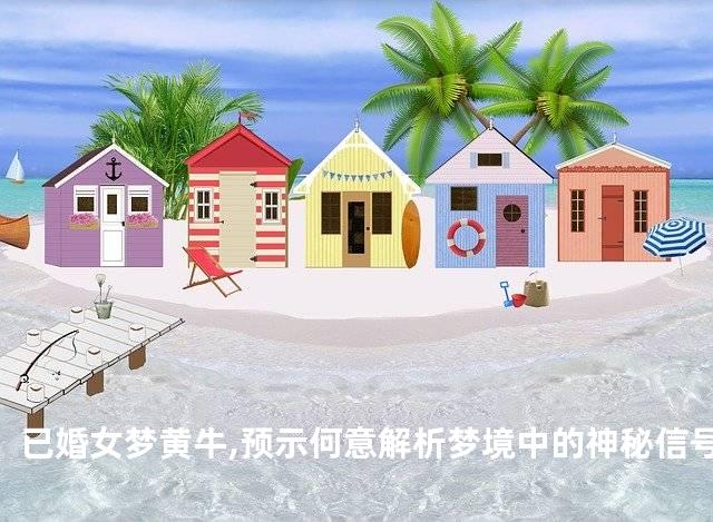 已婚女梦黄牛,预示何意解析梦境中的神秘信号