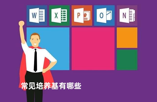 常见培养基有哪些