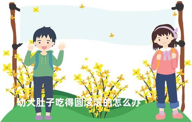 幼犬肚子吃得圆滚滚的怎么办