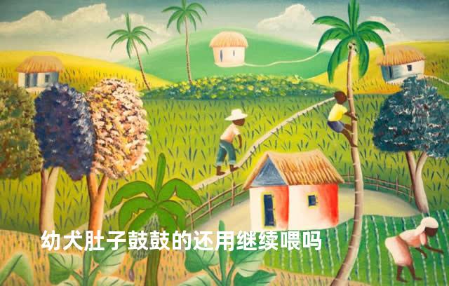 幼犬肚子鼓鼓的还用继续喂吗