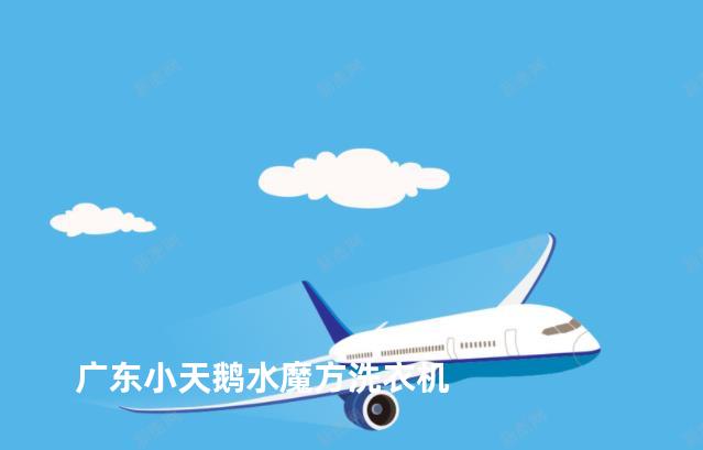 广东小天鹅水魔方洗衣机